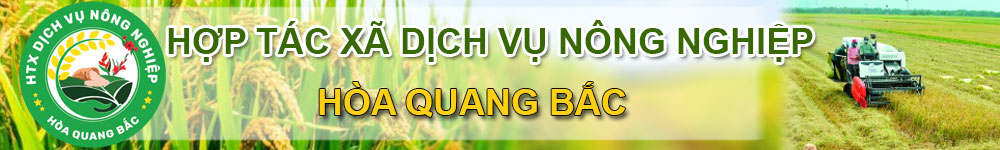 Hợp Tác Xã Dịch Vụ Nông Nghiệp Hòa Quang Bắc